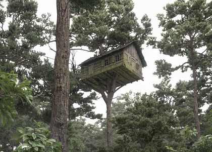 Stefano Mombelli | TREE HOUSE - 3dsMax vray PS view 2