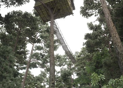 Stefano Mombelli | TREE HOUSE - 3dsMax vray PS view 4
