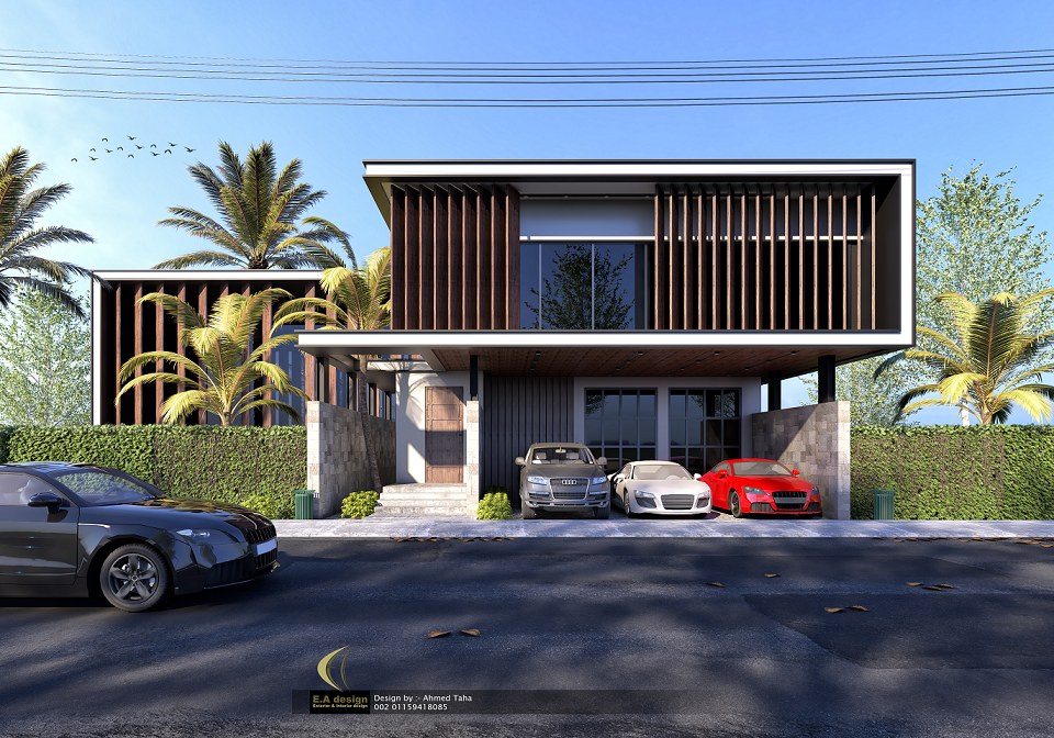 Modern Villa