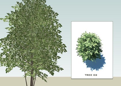 SKETCHUP 3D TREES collection 1 | Sketchup 3D model trees collection 1