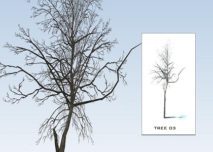 SKETCHUP 3D TREES collection 1 | Sketchup 3D model trees collection 1