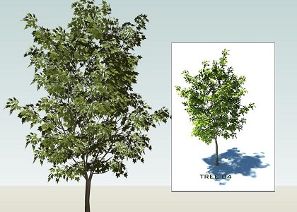 SKETCHUP 3D TREES collection 1