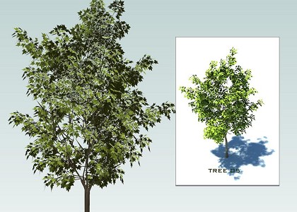 SKETCHUP 3D TREES collection 1