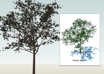 SKETCHUP 3D TREES collection 1