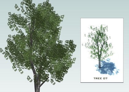 SKETCHUP 3D TREES collection 1