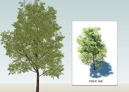 SKETCHUP 3D TREES collection 1