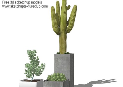 14 SketchUp 3D plants in pots - collection #2 | sketchup preview