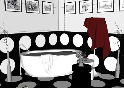 CONTEMPORARY BATHROOM & VISOPT | sketchup view