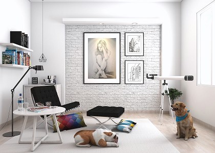Living Room Corner & Visopt