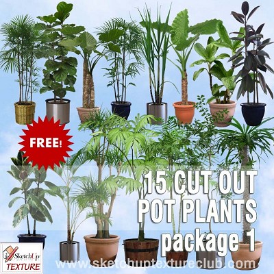 Packs  - CUT OUT POT PLANTS PACK 1 00016