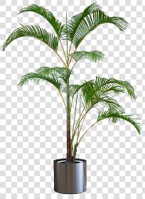 CUT OUT POT PLANTS PACK 1 00016 - pixel 10220 x 1400