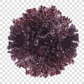 CUT OUT SHRUBS PACK 3 00022 - Pixel 800 x 800