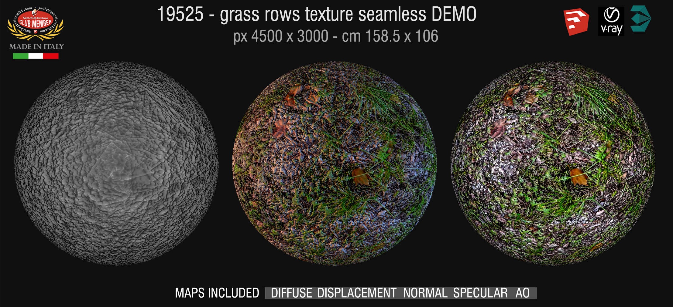 19525 HR Wild grass texture + maps DEMO