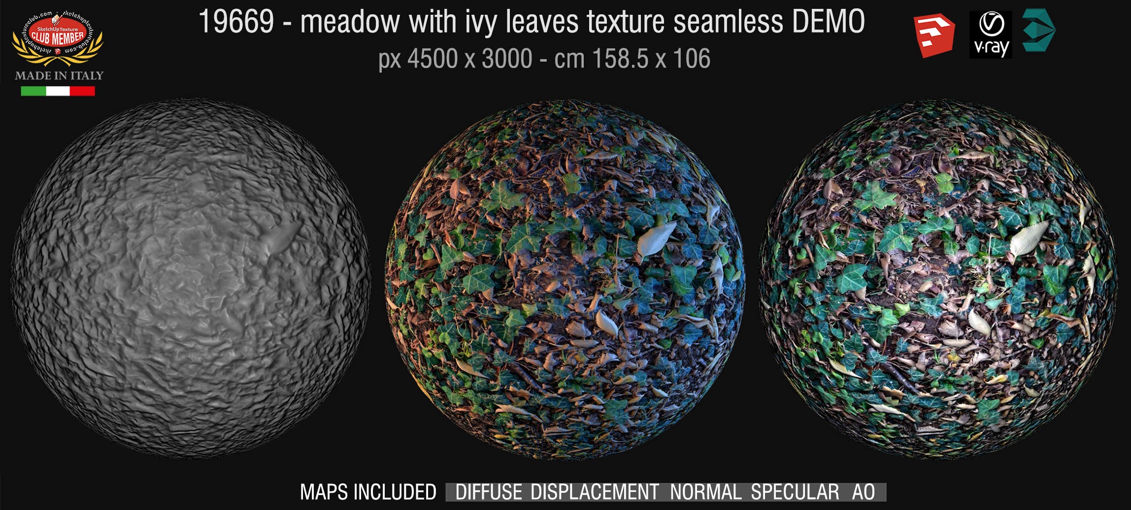 19669 HR Meadow with ivy leaves + maps DEMO