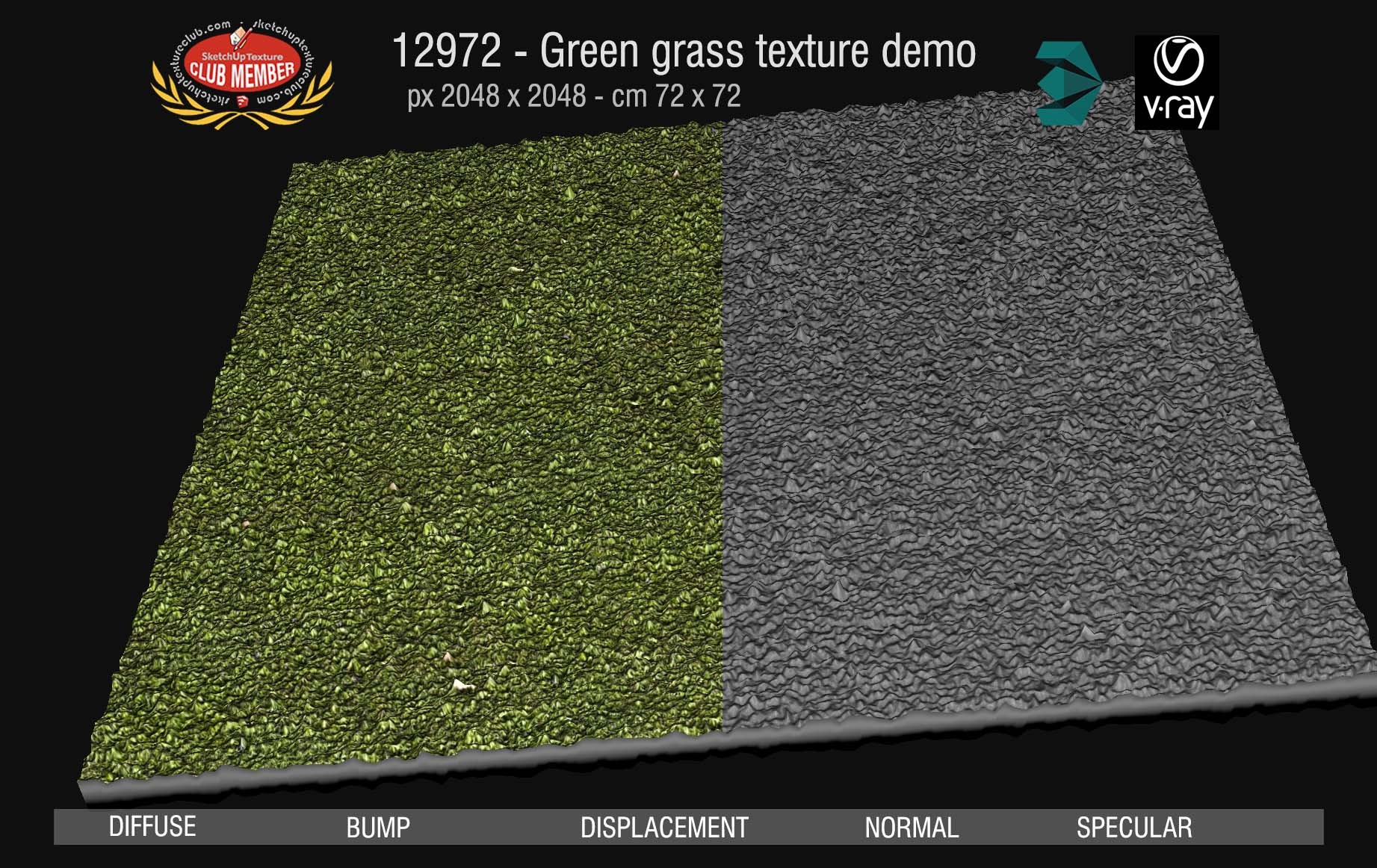 12972 Green grass texture seamless & maps DEMO