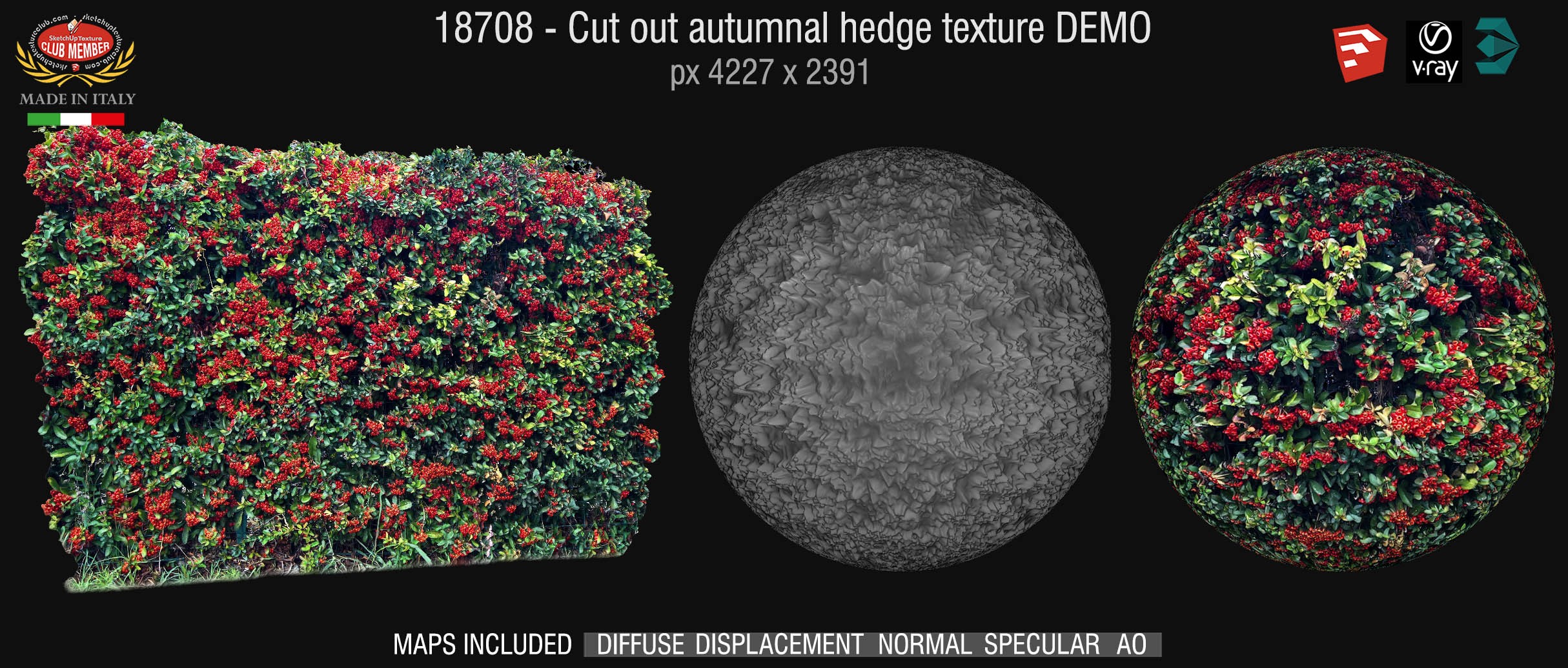 18708 HR Cut out autumnal hedge + maps DEMO