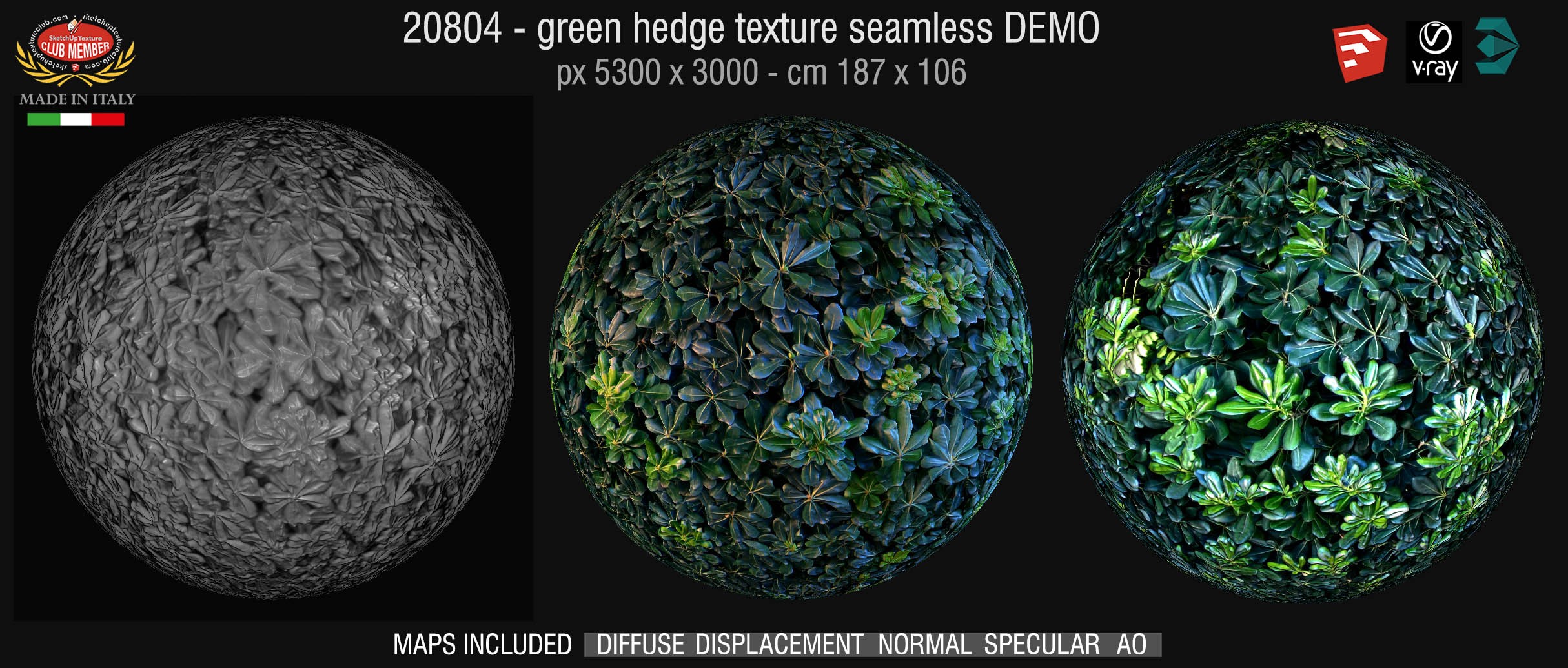 20804 Green hedge texture seamless & maps DEMO