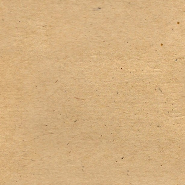 Textures   -   MATERIALS   -   CARDBOARD  - Cardboard texture seamless 09504 - HR Full resolution preview demo