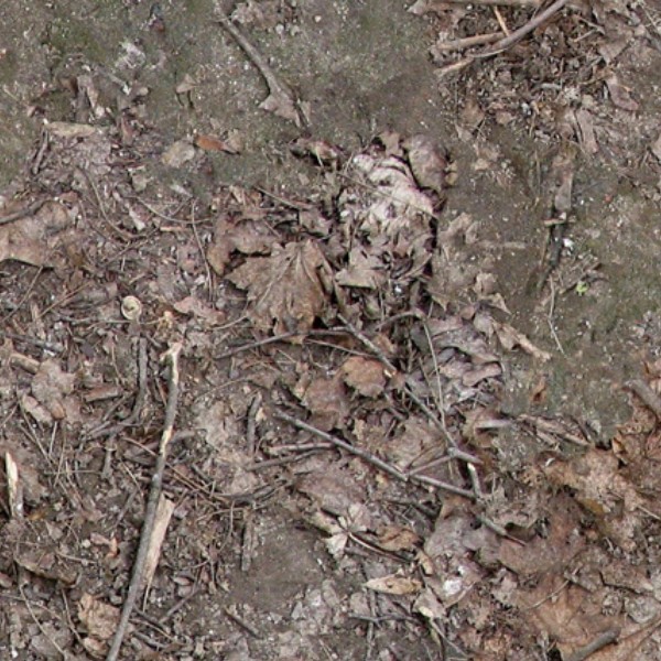 Textures   -   NATURE ELEMENTS   -   SOIL   -   Ground  - Ground texture seamless 12813 - HR Full resolution preview demo