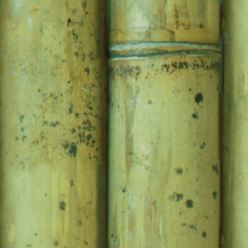 Textures   -   NATURE ELEMENTS   -   BAMBOO  - Bamboo texture seamless 12271 - HR Full resolution preview demo