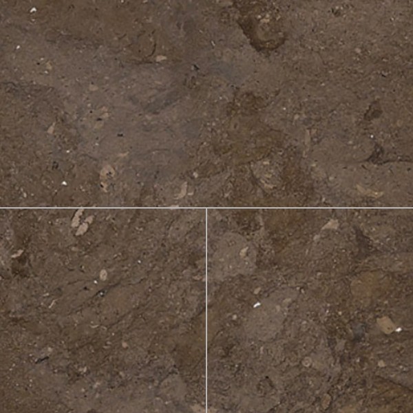 Textures   -   ARCHITECTURE   -   TILES INTERIOR   -   Marble tiles   -   Brown  - Ebony brown marble tile texture seamless 14184 - HR Full resolution preview demo