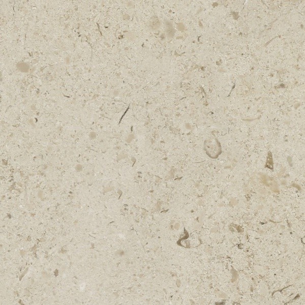 Textures   -   ARCHITECTURE   -   STONES WALLS   -   Wall surface  - Limestone wall surface texture seamless 08596 - HR Full resolution preview demo