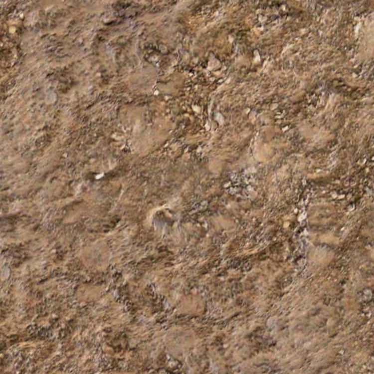 Textures   -   NATURE ELEMENTS   -   SOIL   -   Mud  - Mud texture seamless 12883 - HR Full resolution preview demo