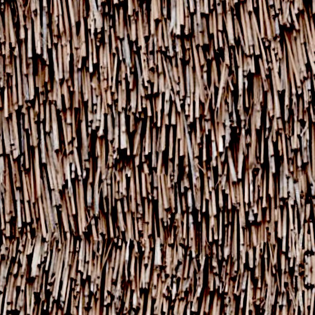 Textures   -   ARCHITECTURE   -   ROOFINGS   -   Thatched roofs  - Thatched roof texture seamless 04048 - HR Full resolution preview demo