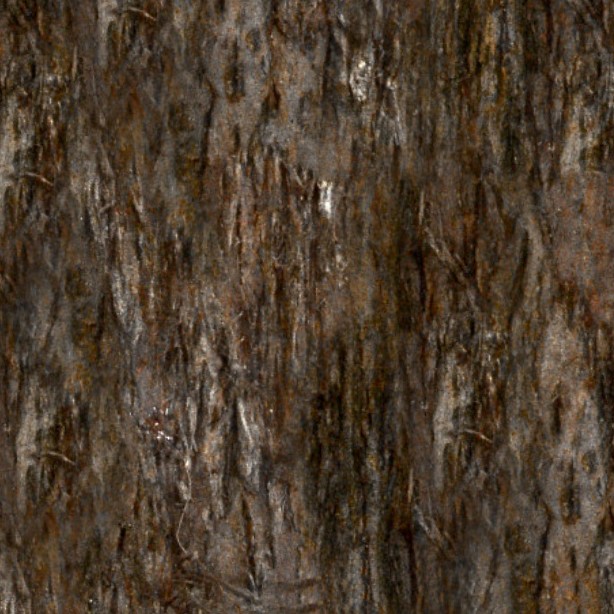 Textures   -   NATURE ELEMENTS   -   BARK  - Bark texture seamless 12319 - HR Full resolution preview demo