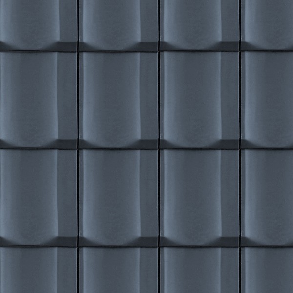 Textures   -   ARCHITECTURE   -   ROOFINGS   -   Metal roofs  - Metal rufing texture seamless 03604 - HR Full resolution preview demo