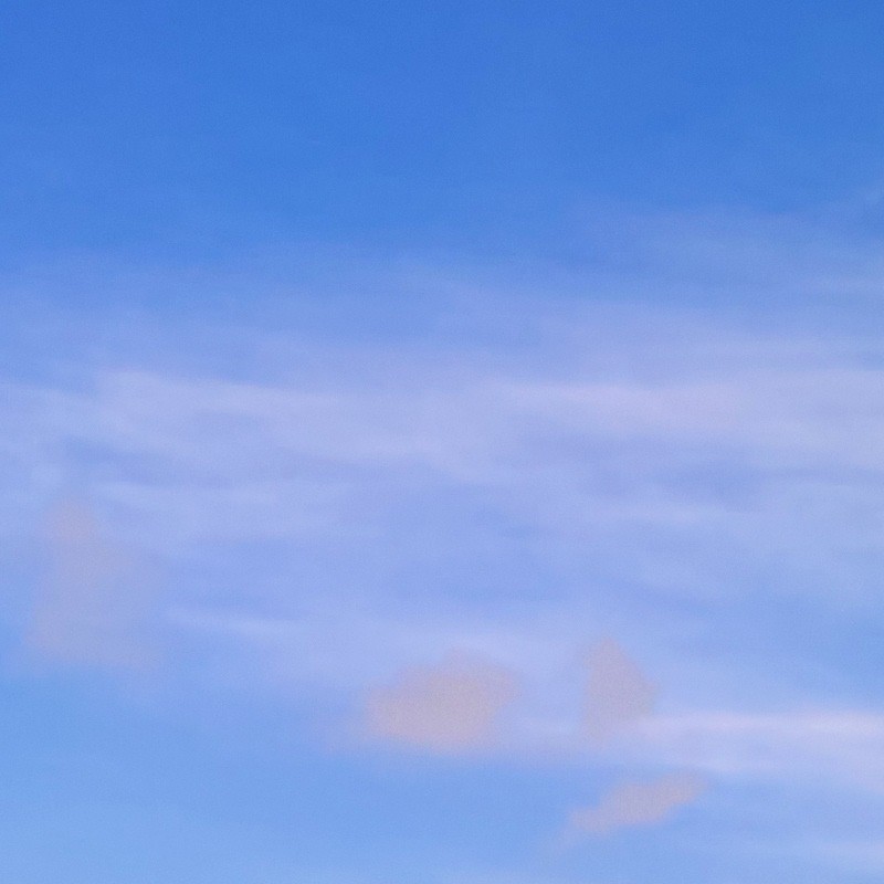 Textures   -   BACKGROUNDS &amp; LANDSCAPES   -   SKY &amp; CLOUDS  - Sky with rural background 17792 - HR Full resolution preview demo