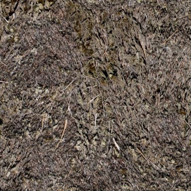 Textures   -   ARCHITECTURE   -   ROOFINGS   -   Thatched roofs  - Thatched roof texture seamless 04052 - HR Full resolution preview demo