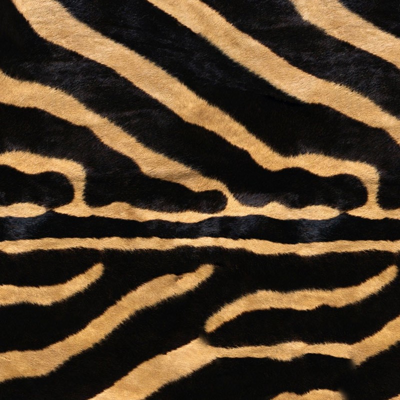Textures   -   MATERIALS   -   FUR ANIMAL  - Zebra faux fake fur animal texture seamless 09566 - HR Full resolution preview demo