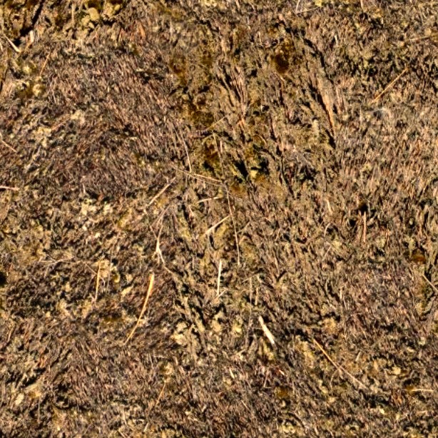 Textures   -   ARCHITECTURE   -   ROOFINGS   -   Thatched roofs  - Thatched roof texture seamless 04053 - HR Full resolution preview demo