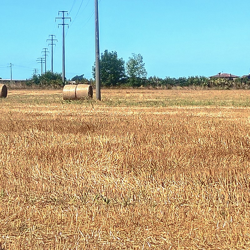Textures   -   BACKGROUNDS &amp; LANDSCAPES   -   NATURE   -   Countrysides &amp; Hills  - Countryside landscape with hay rolls 17614 - HR Full resolution preview demo