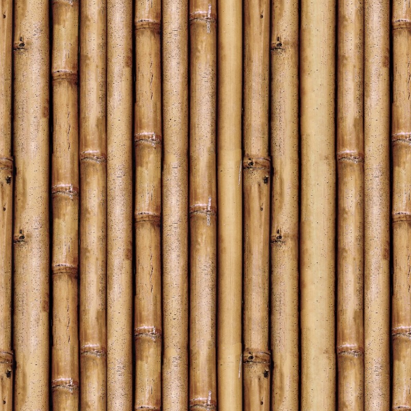 Textures   -   NATURE ELEMENTS   -   BAMBOO  - Bamboo texture seamless 12286 - HR Full resolution preview demo