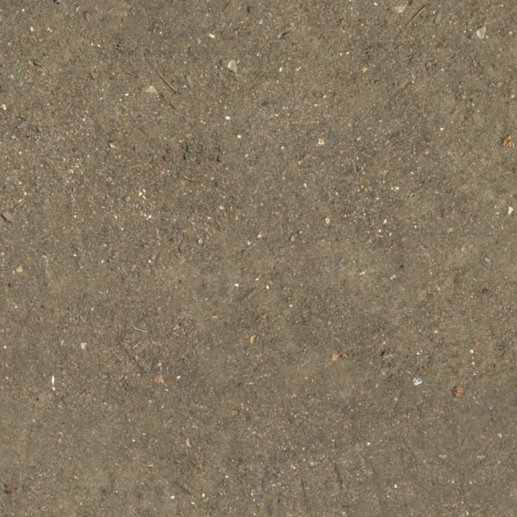 Textures   -   NATURE ELEMENTS   -   SAND  - Dirt beach sand texture seamless 12720 - HR Full resolution preview demo