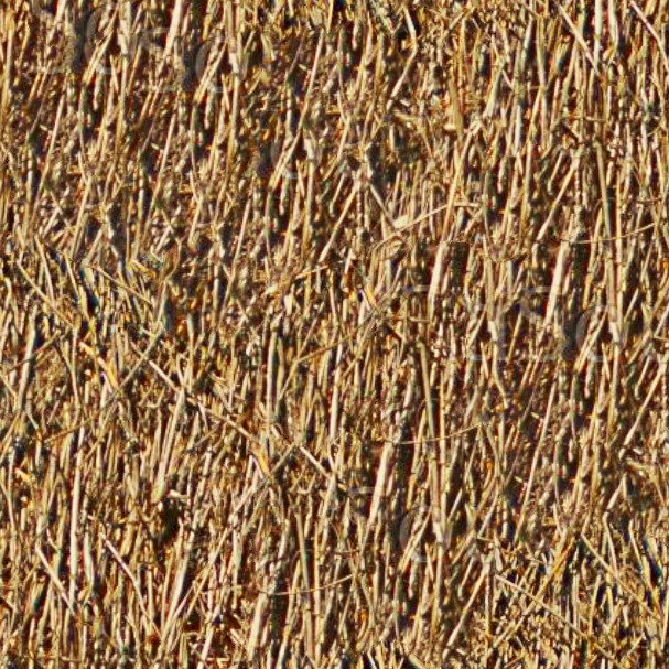 Textures   -   ARCHITECTURE   -   ROOFINGS   -   Thatched roofs  - Thatched roof texture seamless 04058 - HR Full resolution preview demo