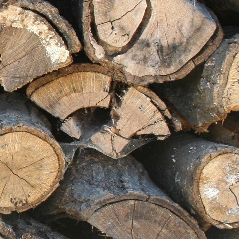 Textures   -   ARCHITECTURE   -   WOOD   -   Wood logs  - Wood logs texture seamless 17414 - HR Full resolution preview demo