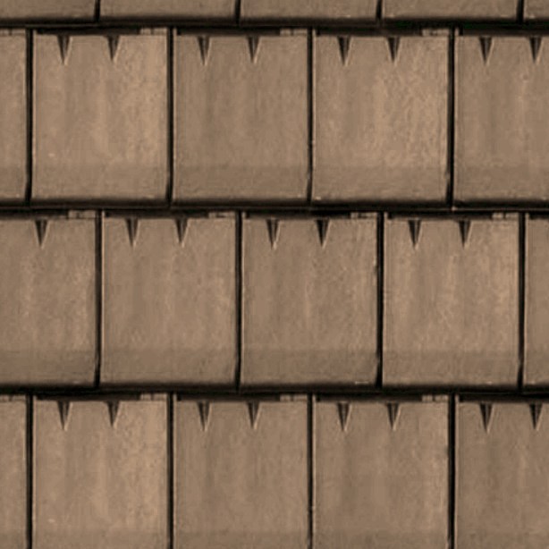 Textures   -   ARCHITECTURE   -   ROOFINGS   -   Clay roofs  - Clay roofing Giverny texture seamless 03362 - HR Full resolution preview demo