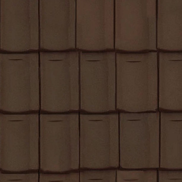Textures   -   ARCHITECTURE   -   ROOFINGS   -   Clay roofs  - Clay roofing Jura texture seamless 03364 - HR Full resolution preview demo