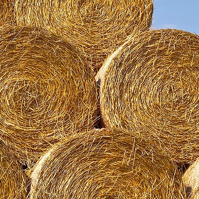 Textures   -   BACKGROUNDS &amp; LANDSCAPES   -   NATURE   -   Countrysides &amp; Hills  - Countryside landscape with hay rolls 17619 - HR Full resolution preview demo