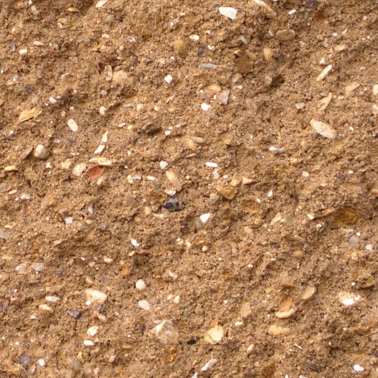 Textures   -   NATURE ELEMENTS   -   SOIL   -   Ground  - Ground texture seamless 12834 - HR Full resolution preview demo