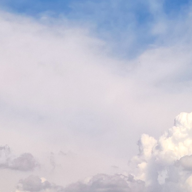 Textures   -   BACKGROUNDS &amp; LANDSCAPES   -   SKY &amp; CLOUDS  - Sky with rural background 17802 - HR Full resolution preview demo