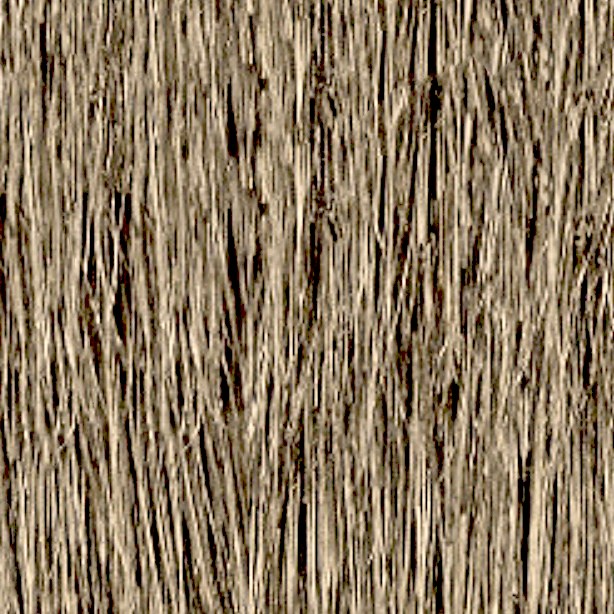 Textures   -   ARCHITECTURE   -   ROOFINGS   -   Thatched roofs  - Thatched roof texture seamless 04061 - HR Full resolution preview demo