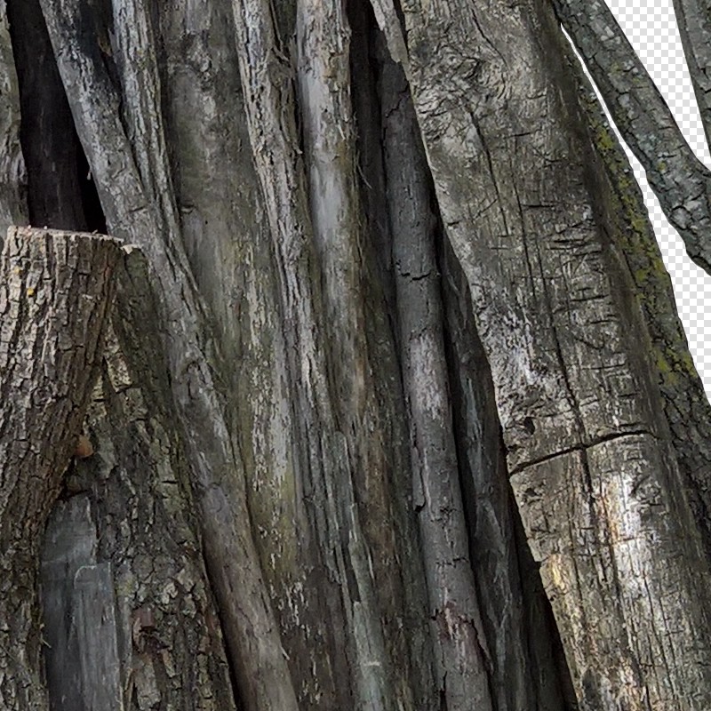 Textures   -   ARCHITECTURE   -   WOOD   -   Wood logs  - Cut out wood logs texture 17434 - HR Full resolution preview demo