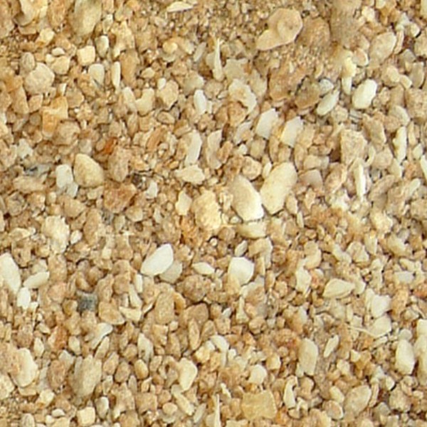 Textures   -   NATURE ELEMENTS   -   SAND  - Beach sand texture seamless 12727 - HR Full resolution preview demo