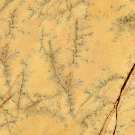 Textures   -   ARCHITECTURE   -   MARBLE SLABS   -   Yellow  - Slab marble Orient yellow texture seamless 02680 - HR Full resolution preview demo