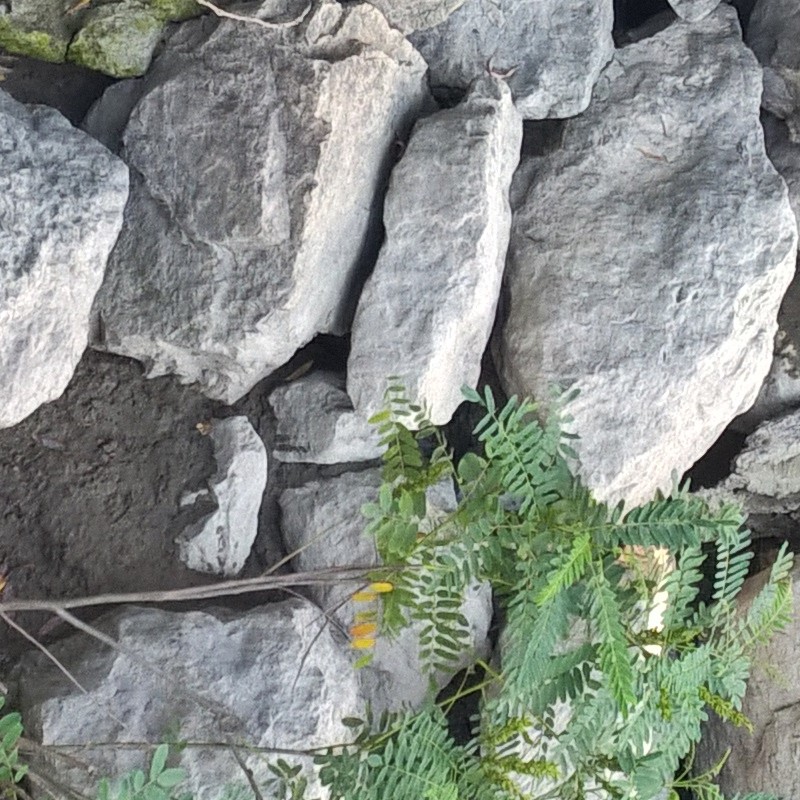 Textures   -   NATURE ELEMENTS   -   WATER   -   Streams  - Water stream whit stones texture 17387 - HR Full resolution preview demo