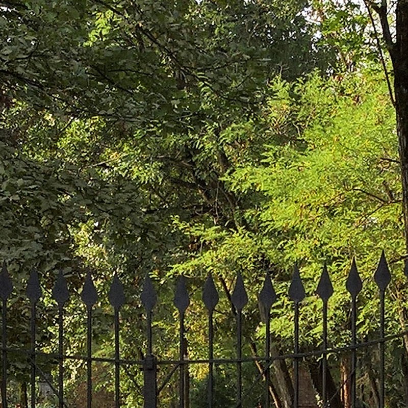 Textures   -   ARCHITECTURE   -   BUILDINGS   -   Gates  - Old iron entrance gate texture 18597 - HR Full resolution preview demo